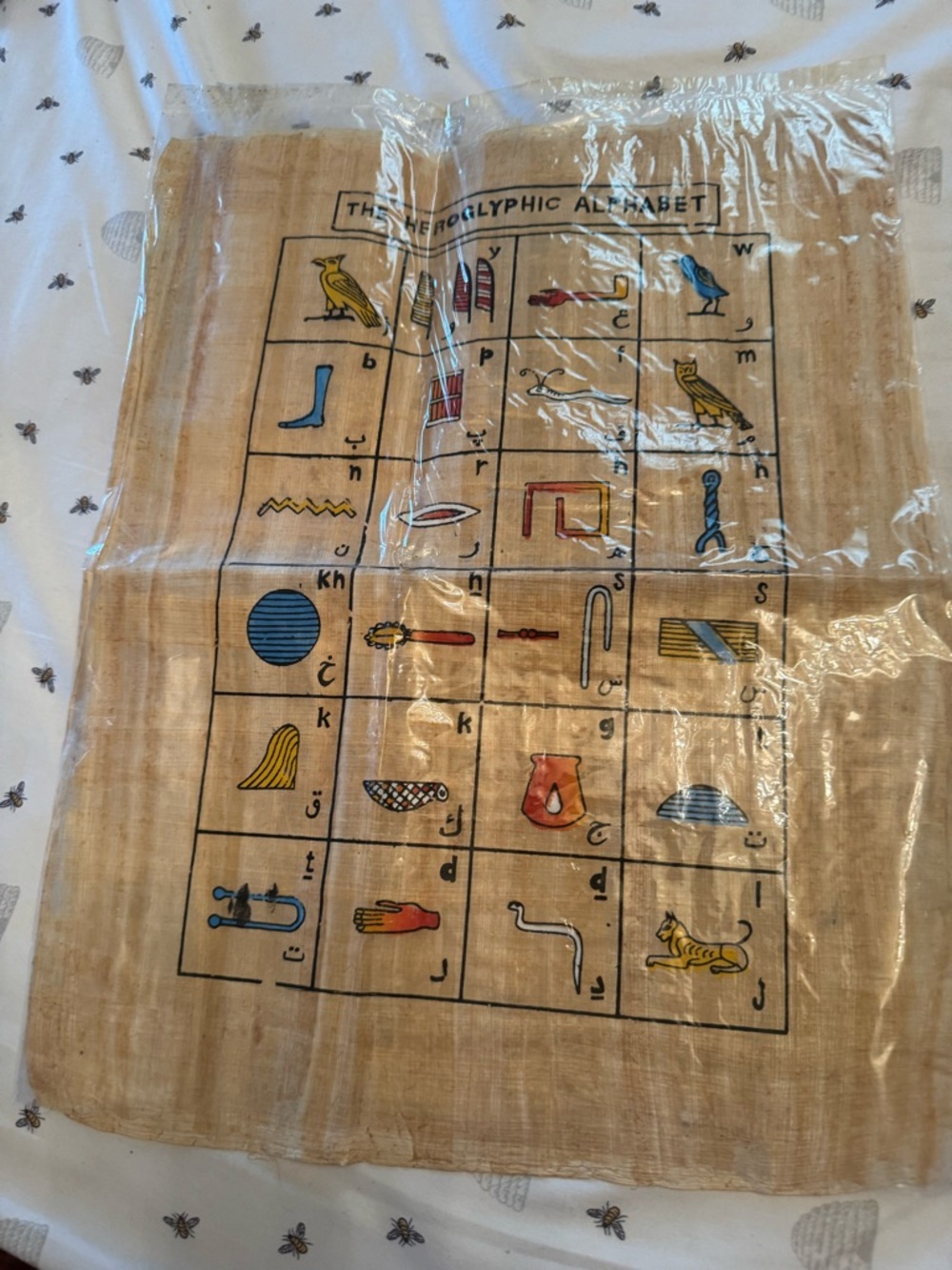 Vintage Egyptian Hieroglyphic Alphabet Papyrus Wall Art - Blue, Yellow, Red